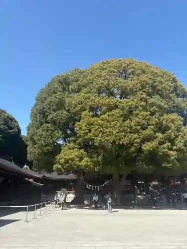 明治神宮の{uncategorized: "未分類", other: "その他", undefined: "問題あり", building: "その他建物", grave: "お墓", sacred_gate: "鳥居", guardian: "狛犬", statue: "像", buddha: "仏像", history: "歴史", nature: "自然", garden: "庭園", animal: "動物", pagoda: "塔", temizu: "手水舎", mountain_gate: "山門・神門", sanctuary: "本殿・本堂", subordinate: "末社・摂社", art: "芸術", scenery: "景色", jizo: "地蔵", ema: "絵馬", goshuin: "御朱印", omikuji: "おみくじ", items: "授与品その他", amulet: "お守り", goshuincho: "御朱印帳", eats: "食事", festival: "お祭り", votive_dance: "神楽", shichigosan: "七五三参", wedding: "結婚式", experience: "体験その他", initially: "初詣", around: "周辺", anti_infection: "感染症対策"}