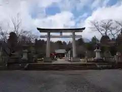 茨城縣護國神社の鳥居