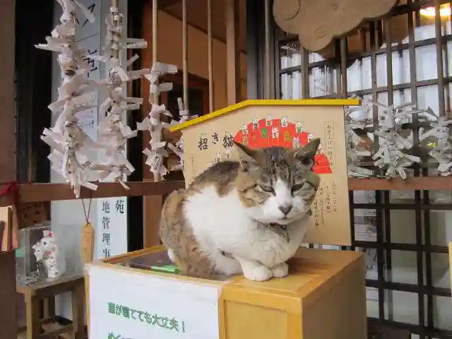 御誕生寺(猫寺)(福井県)