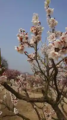 神前神社(岡山県)