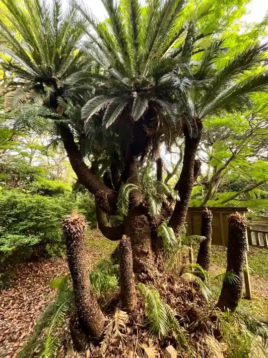 衣奈八幡神社(和歌山県)