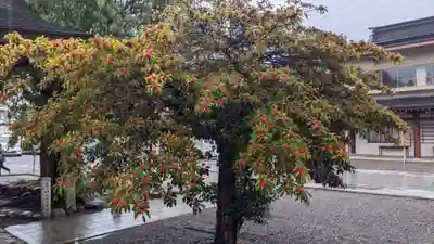田縣神社(愛知県)