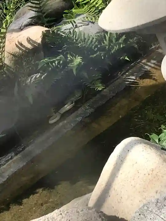 岩国白蛇神社の芸術