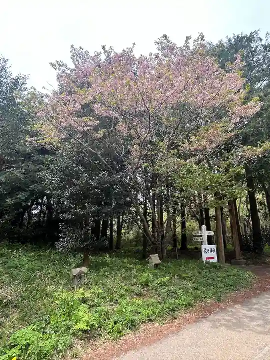 猿田神社(千葉県)