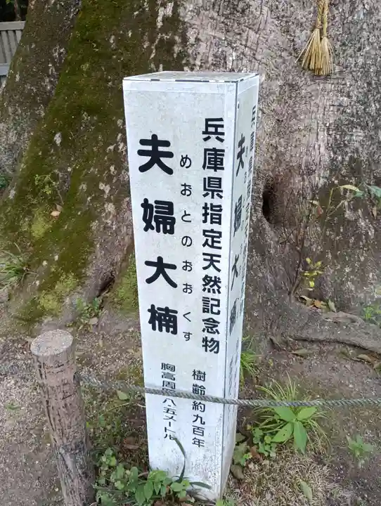 伊弉諾神宮(兵庫県)