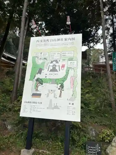 白山神社の{uncategorized: "未分類", other: "その他", undefined: "問題あり", building: "その他建物", grave: "お墓", sacred_gate: "鳥居", guardian: "狛犬", statue: "像", buddha: "仏像", history: "歴史", nature: "自然", garden: "庭園", animal: "動物", pagoda: "塔", temizu: "手水舎", mountain_gate: "山門・神門", sanctuary: "本殿・本堂", subordinate: "末社・摂社", art: "芸術", scenery: "景色", jizo: "地蔵", ema: "絵馬", goshuin: "御朱印", omikuji: "おみくじ", items: "授与品その他", amulet: "お守り", goshuincho: "御朱印帳", eats: "食事", festival: "お祭り", votive_dance: "神楽", shichigosan: "七五三参", wedding: "結婚式", experience: "体験その他", initially: "初詣", around: "周辺", anti_infection: "感染症対策"}