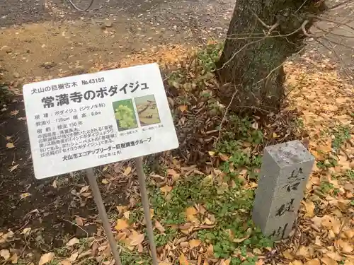 常満寺の庭園