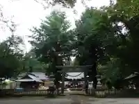 大神神社のその他建物