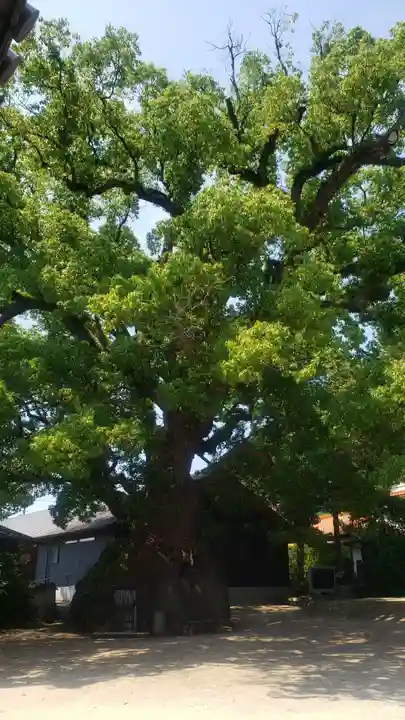糸碕神社(広島県)