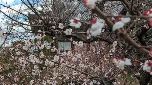  智積院(京都府)