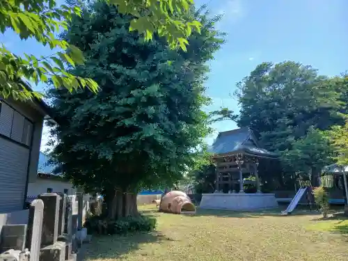 観行院(千葉県)