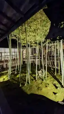 妙顯寺（妙顕寺）(京都府)