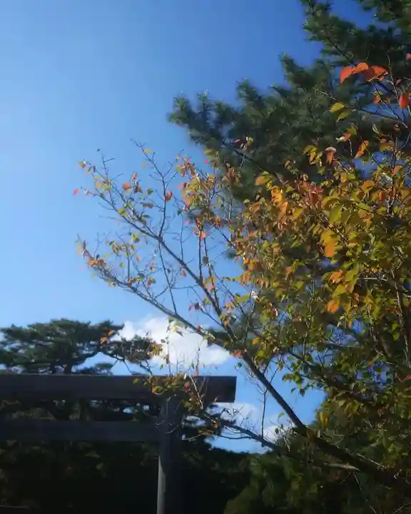 伊勢神宮内宮(皇大神宮)(三重県)