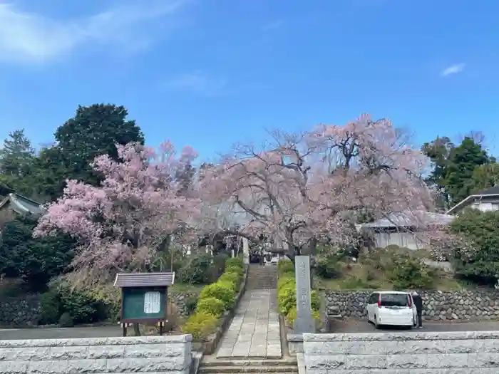 西林寺の建物その他