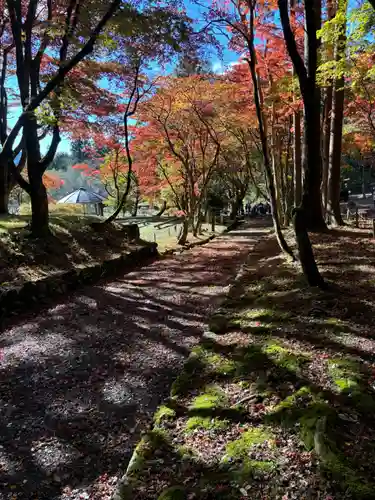 鶏足寺(滋賀県)