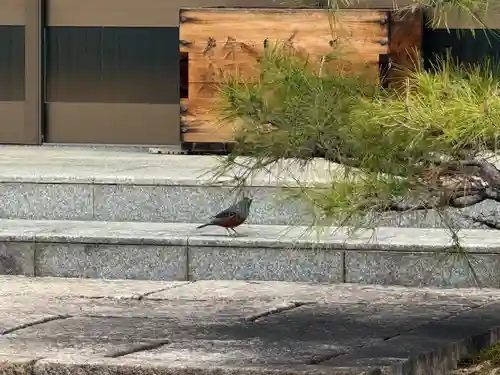 西方山極楽寺(岐阜県)