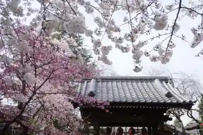 新井薬師(梅照院)の山門・神門