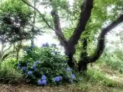 伊太祁曽神社の自然