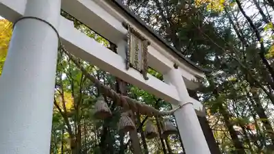 宝登山神社奥宮(埼玉県)