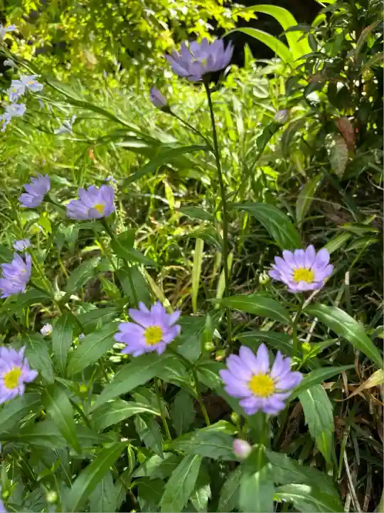 岩戸別神社(栃木県)