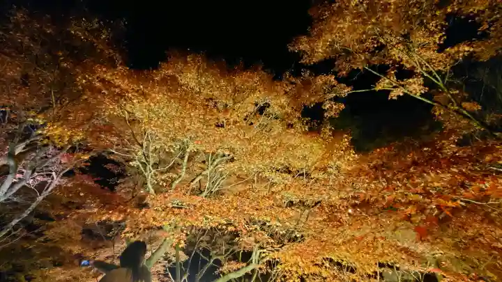 東福禅寺(東福寺)の{uncategorized: "未分類", other: "その他", undefined: "問題あり", building: "その他建物", grave: "お墓", sacred_gate: "鳥居", guardian: "狛犬", statue: "像", buddha: "仏像", history: "歴史", nature: "自然", garden: "庭園", animal: "動物", pagoda: "塔", temizu: "手水舎", mountain_gate: "山門・神門", sanctuary: "本殿・本堂", subordinate: "末社・摂社", art: "芸術", scenery: "景色", jizo: "地蔵", ema: "絵馬", goshuin: "御朱印", omikuji: "おみくじ", items: "授与品その他", amulet: "お守り", goshuincho: "御朱印帳", eats: "食事", festival: "お祭り", votive_dance: "神楽", shichigosan: "七五三参", wedding: "結婚式", experience: "体験その他", initially: "初詣", around: "周辺", anti_infection: "感染症対策"}