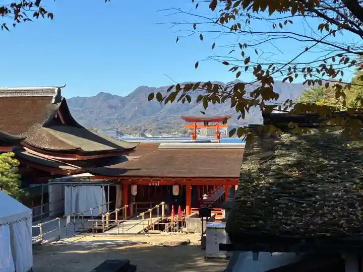 厳島神社の{uncategorized: "未分類", other: "その他", undefined: "問題あり", building: "その他建物", grave: "お墓", sacred_gate: "鳥居", guardian: "狛犬", statue: "像", buddha: "仏像", history: "歴史", nature: "自然", garden: "庭園", animal: "動物", pagoda: "塔", temizu: "手水舎", mountain_gate: "山門・神門", sanctuary: "本殿・本堂", subordinate: "末社・摂社", art: "芸術", scenery: "景色", jizo: "地蔵", ema: "絵馬", goshuin: "御朱印", omikuji: "おみくじ", items: "授与品その他", amulet: "お守り", goshuincho: "御朱印帳", eats: "食事", festival: "お祭り", votive_dance: "神楽", shichigosan: "七五三参", wedding: "結婚式", experience: "体験その他", initially: "初詣", around: "周辺", anti_infection: "感染症対策"}