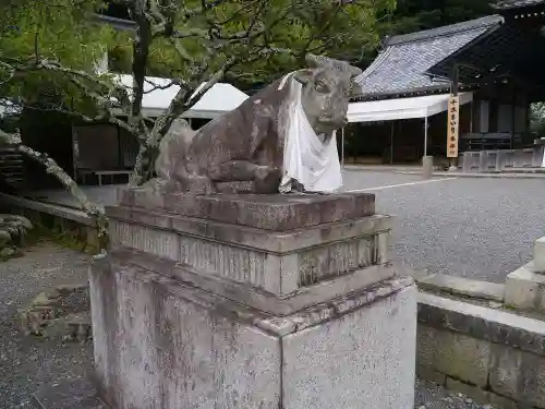 法輪寺の狛犬