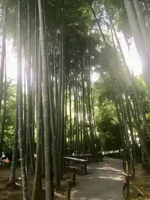 明月院(神奈川県)