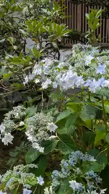 大日寺(大阪府)
