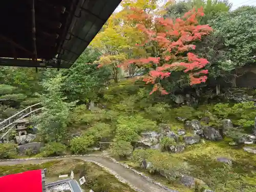 霊鑑寺門跡(京都府)