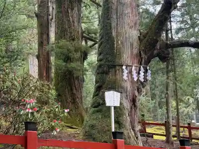 日光二荒山神社(栃木県)