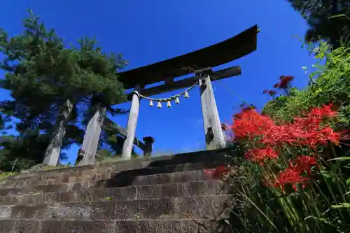 木幡山隠津島神社(二本松市)の鳥居