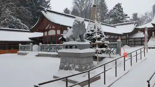 北海道護國神社の狛犬