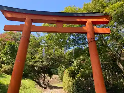 根岸八幡宮の鳥居