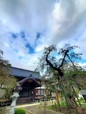 愛蔵寺(福島県)