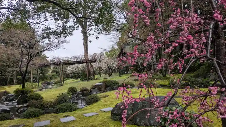 城南宮(京都府)