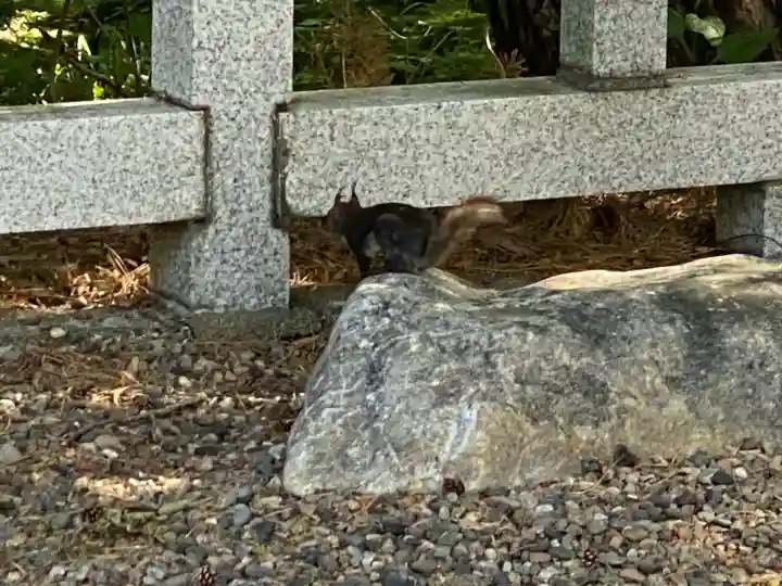 上川神社(北海道)