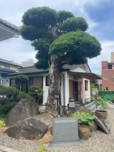 応願寺(栃木県)