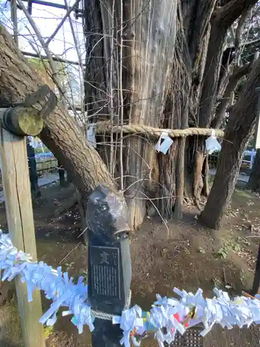 稲毛神社(神奈川県)