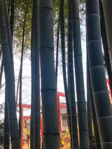 小川諏訪神社(福島県)