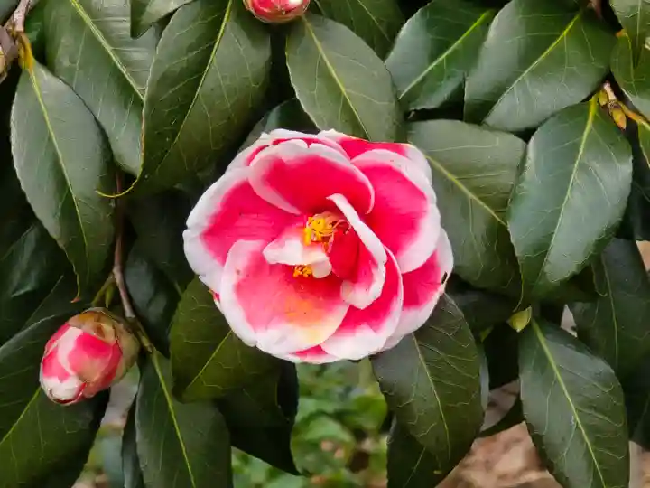 円照寺(兵庫県)
