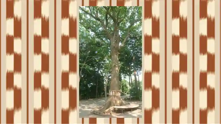 星川杉山神社(神奈川県)