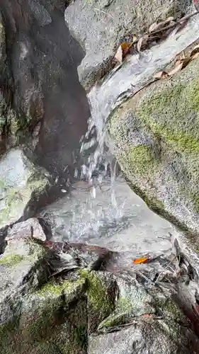 霧島神宮(鹿児島県)