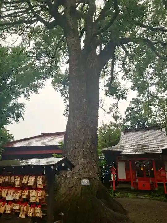 冠稲荷神社(群馬県)