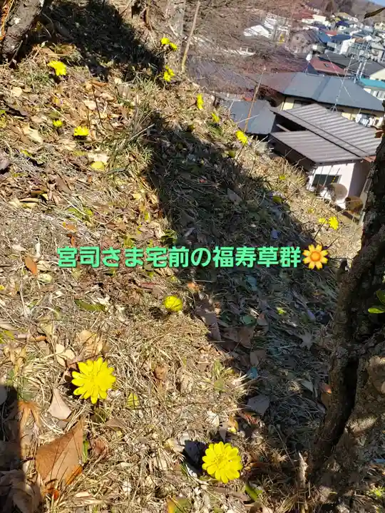 三春大神宮(福島県)