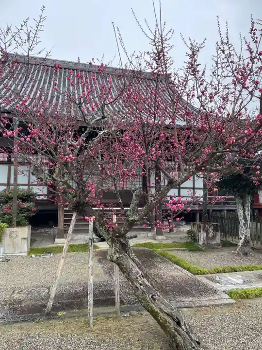 妙昌寺(三重県)