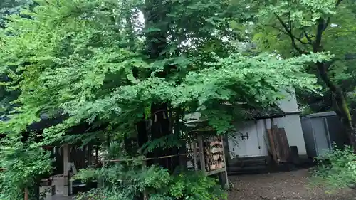 梨木神社(京都府)