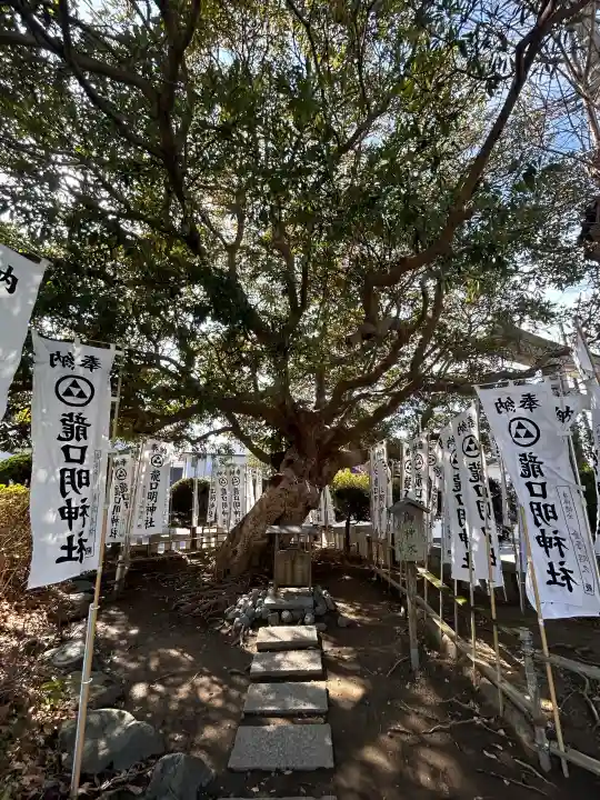 龍口明神社の{uncategorized: "未分類", other: "その他", undefined: "問題あり", building: "その他建物", grave: "お墓", sacred_gate: "鳥居", guardian: "狛犬", statue: "像", buddha: "仏像", history: "歴史", nature: "自然", garden: "庭園", animal: "動物", pagoda: "塔", temizu: "手水舎", mountain_gate: "山門・神門", sanctuary: "本殿・本堂", subordinate: "末社・摂社", art: "芸術", scenery: "景色", jizo: "地蔵", ema: "絵馬", goshuin: "御朱印", omikuji: "おみくじ", items: "授与品その他", amulet: "お守り", goshuincho: "御朱印帳", eats: "食事", festival: "お祭り", votive_dance: "神楽", shichigosan: "七五三参", wedding: "結婚式", experience: "体験その他", initially: "初詣", around: "周辺", anti_infection: "感染症対策"}