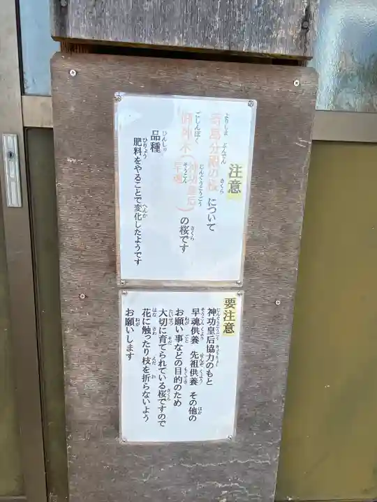 世界第一八百萬神之御殿 寄島分殿のその他建物