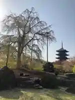 東寺(教王護国寺)のその他建物